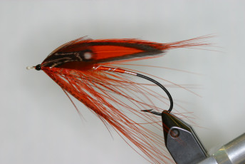DC Cutthroat Spey by Rich Youngers