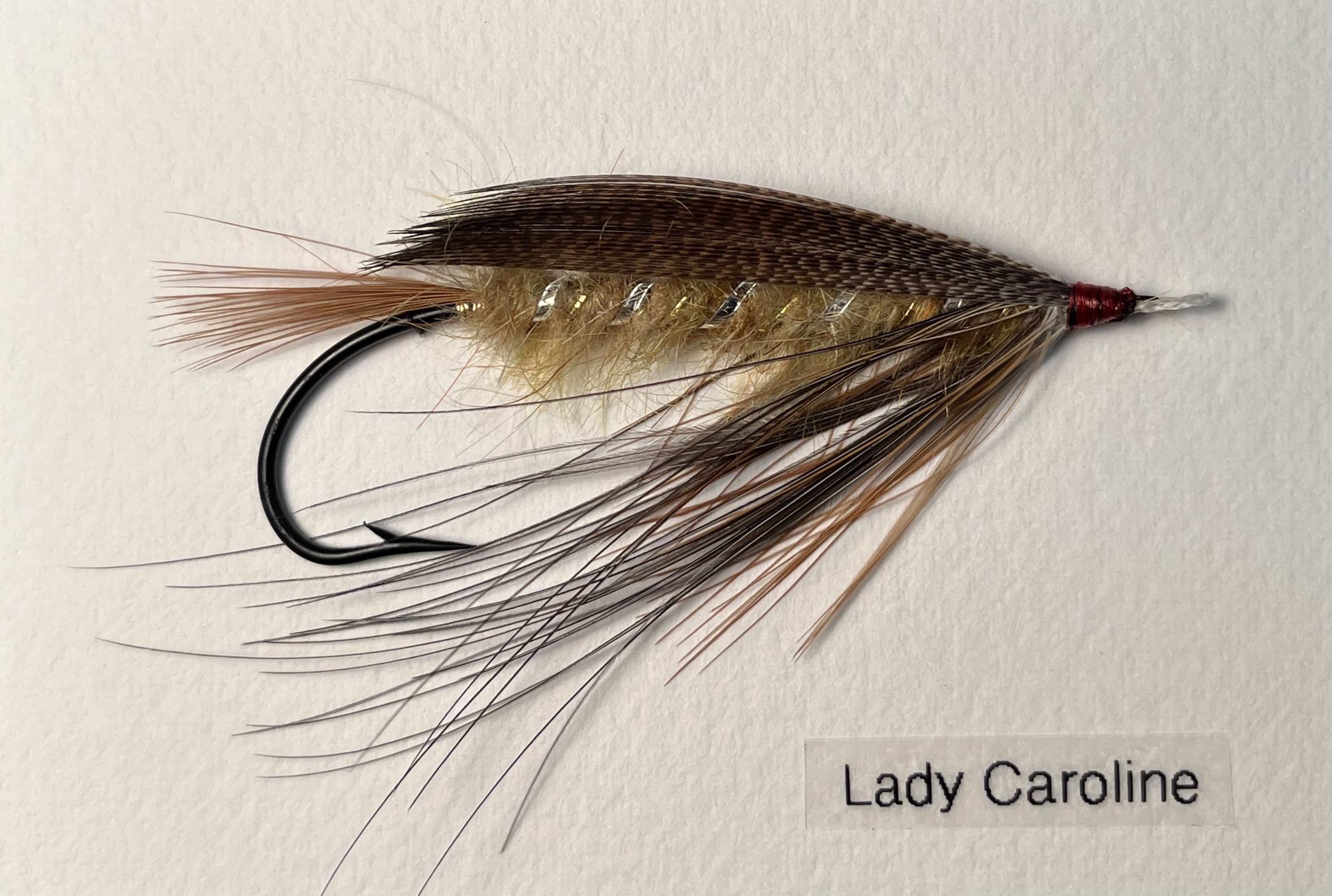 Lady-Caroline-by-Judy-Gattinella