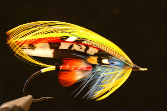 Fra Diavolo by Bob Miller
