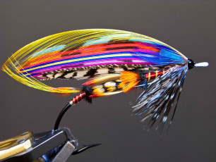 Firefly by Edward Berkeley