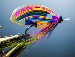Neon by Edward Berkeley