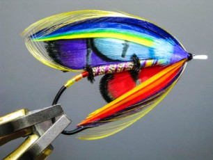 Over the rainbow 2 by E Berkeley
