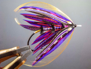 Purple-delta by E Berkeley