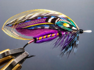 S.-Hardy-fly_2