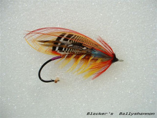 Ballyshannon by Harry Lemire