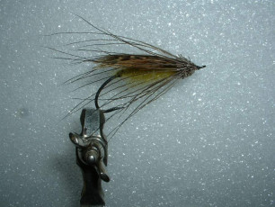 Thompson River Caddis by Harry Lemire